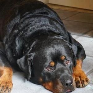 Meet your Posher, Maryann